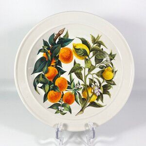 RARE !!! Portmeirion Oranges & Lemons dinner plate 10" inches